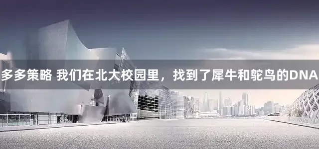 多多策略 我们在北大校园里，找到了犀牛和鸵鸟的DNA