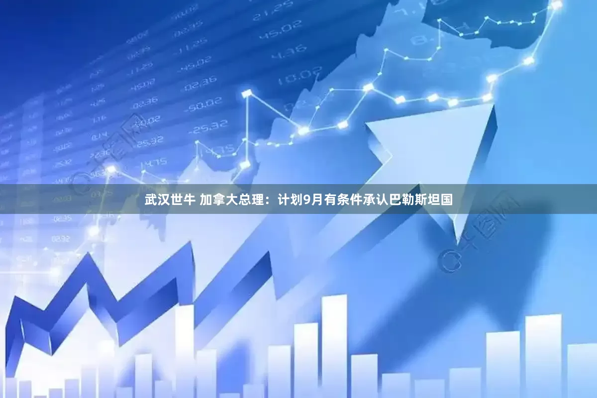 武汉世牛 加拿大总理：计划9月有条件承认巴勒斯坦国