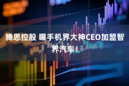 腾思控股 曝手机界大神CEO加盟智界汽车！