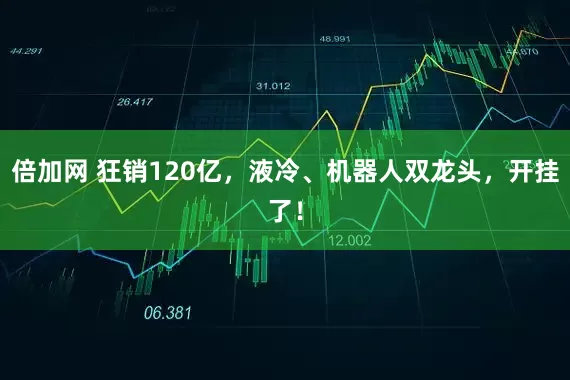 倍加网 狂销120亿，液冷、机器人双龙头，开挂了！