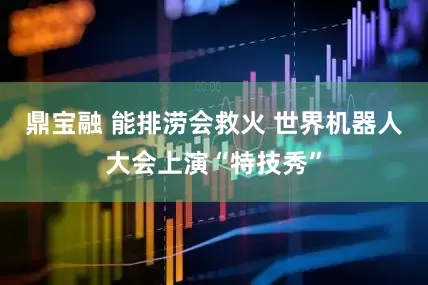 鼎宝融 能排涝会救火 世界机器人大会上演“特技秀”