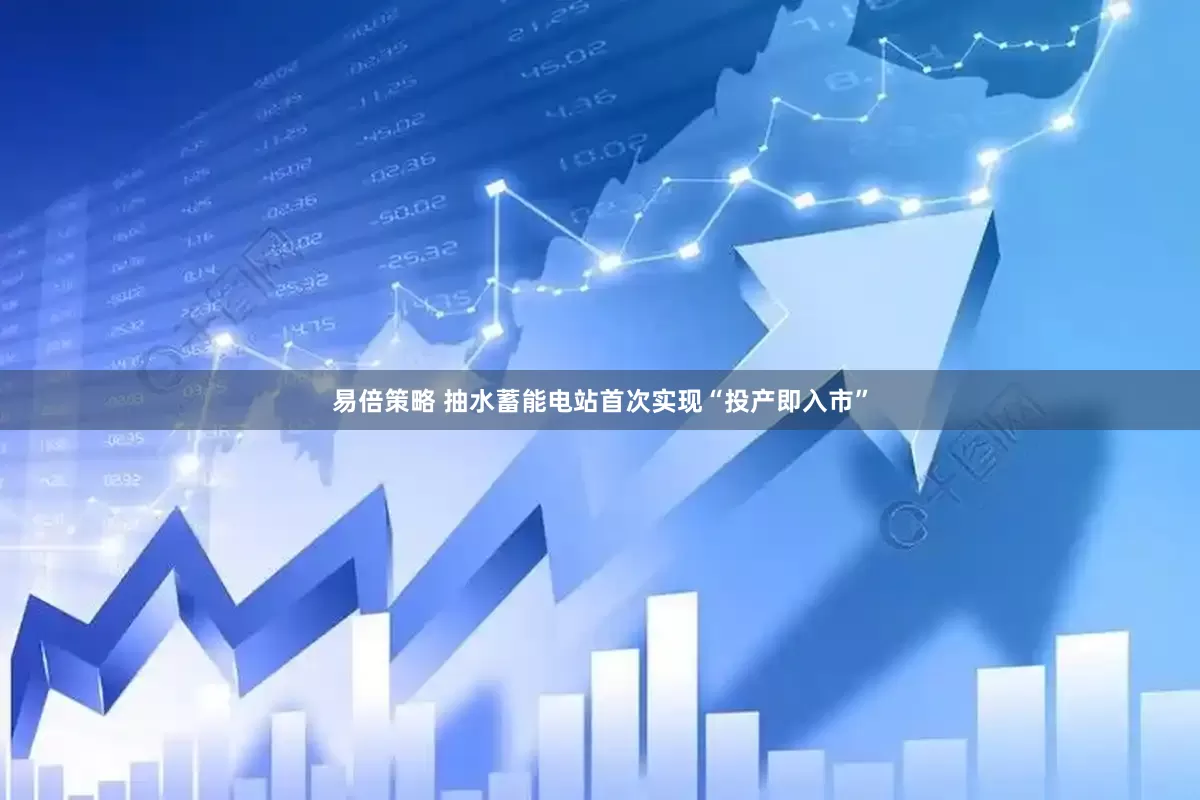 易倍策略 抽水蓄能电站首次实现“投产即入市”