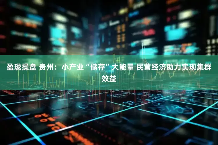 盈珑操盘 贵州：小产业“储存”大能量 民营经济助力实现集群效益