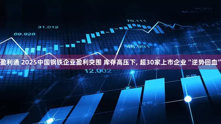 盈利通 2025中国钢铁企业盈利突围 库存高压下, 超30家上市企业“逆势回血”