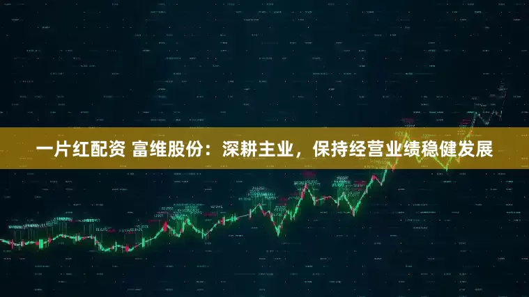 一片红配资 富维股份：深耕主业，保持经营业绩稳健发展