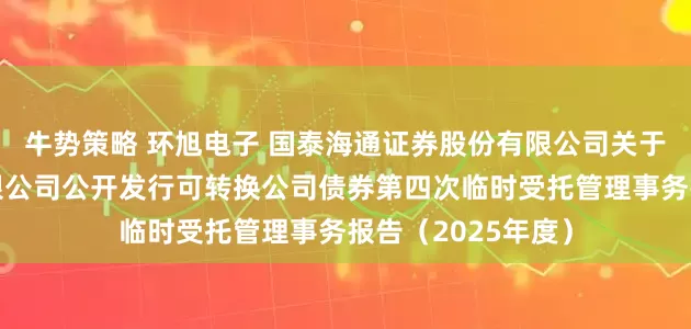 牛势策略 环旭电子 国泰海通证券股份有限公司关于环旭电子股份有限公司公开发行可转换公司债券第四次临时受托管理事务报告（2025年度）