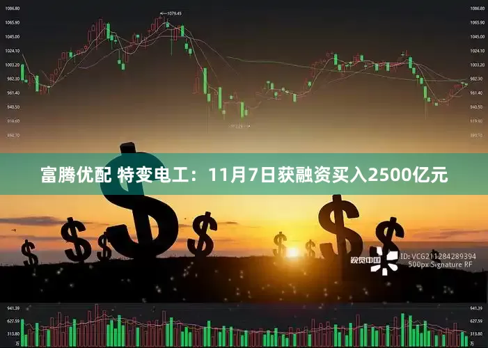 富腾优配 特变电工：11月7日获融资买入2500亿元