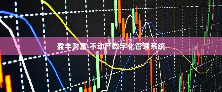 盈丰财富 不动产数字化管理系统